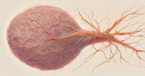 Biopsja węzła wartowniczego: Co musisz wiedzieć?